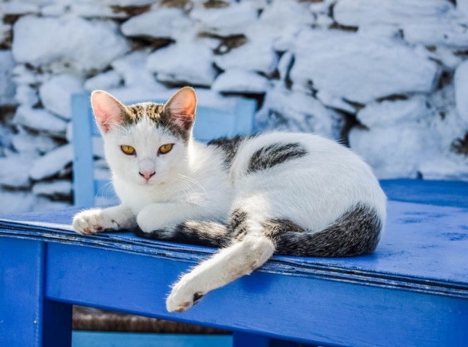 SchoeneAussichtenTouristik-Griechenland-pixabay-cat