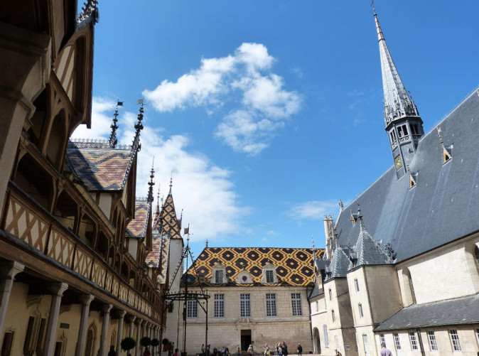 0013_falco-beaune-1526123_1280