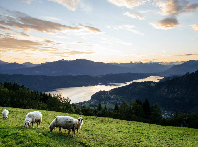 0018_00000079586_Blick-auf-den-Millstaetter-See_Oesterreich-Werbung_Susanne-Einzenberger