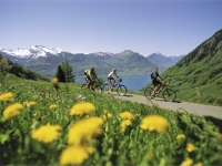 Individuelle Sternfahrt mit dem Rad